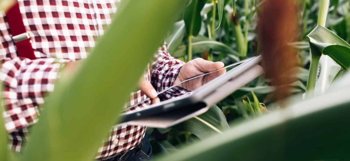 Agriculture-connectivity-Depositphotos_511460670_XL-e1636516112451