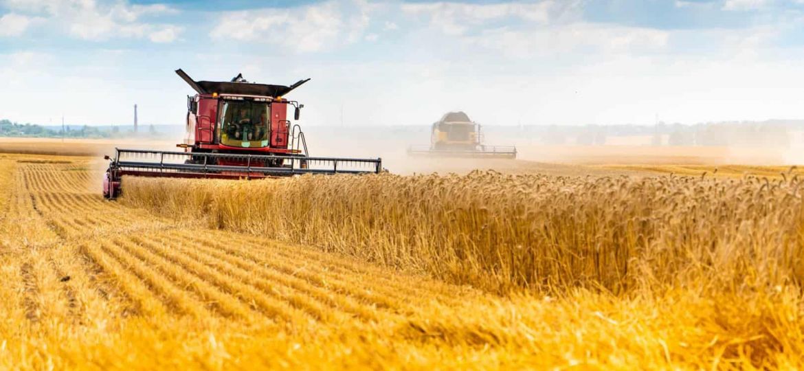 Agriculture-Field-Harvest-Depositphotos_362345772_XL-e1639621372702