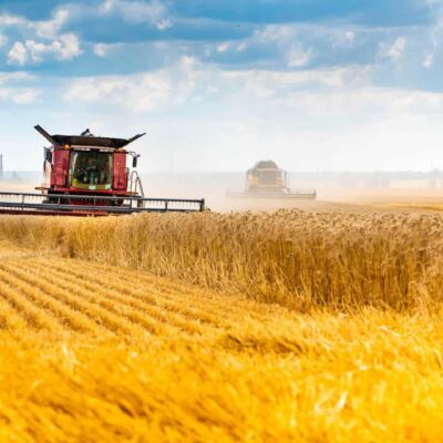 Agriculture-Field-Harvest-Depositphotos_362345772_XL-e1639621372702