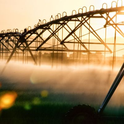 Water usage in agriculture